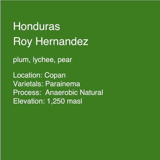 Honduras - Roy Hernandez Parainema Microlot