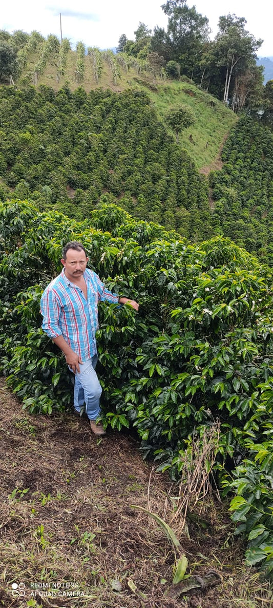 Colombia - Alexander Vargas