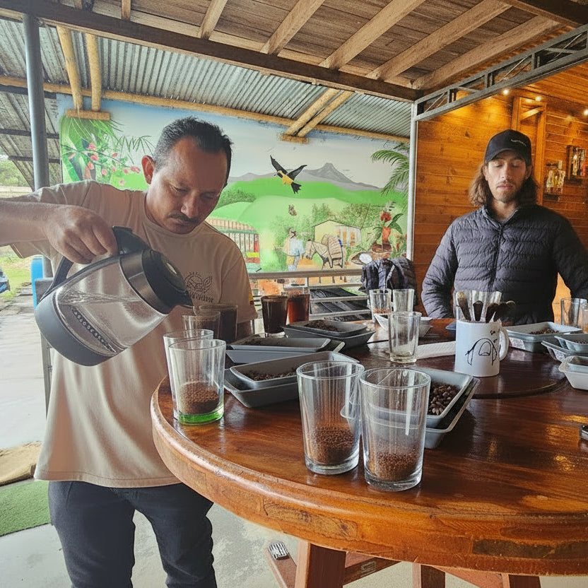 Colombia Orange Bourbon - Microlot