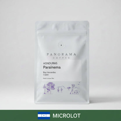 Honduras  - Roy Hernandez Parainema Microlot