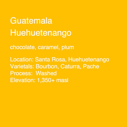 Guatemala Huehuetenango SHB - Regional Coffee