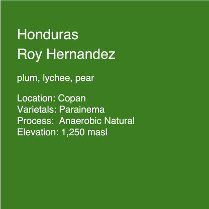 Honduras  - Roy Hernandez Parainema Microlot