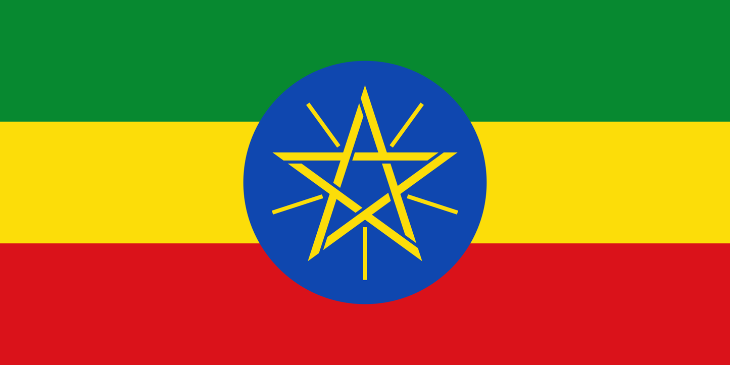 Ethiopia Worka Sareji - Microlot