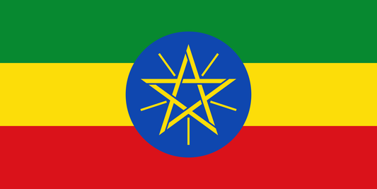 Ethiopia Worka Sareji - Microlot