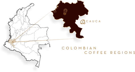 Colombia Popayan Decaf